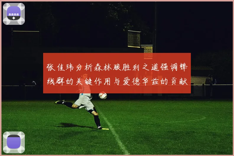 张佳玮分析森林狼胜利之道强调锋线群的关键作用与爱德华兹的贡献