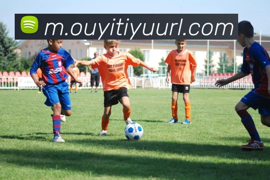 欧亿体育平台生态图