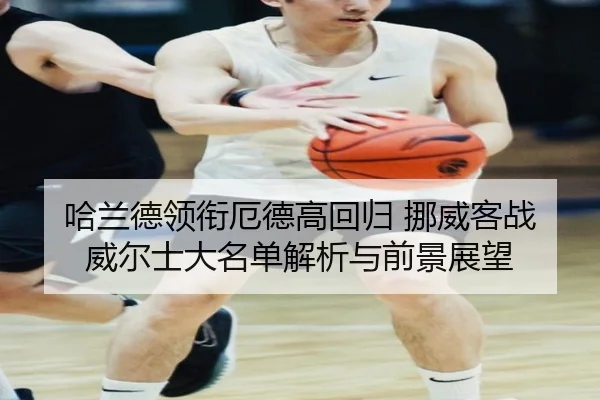 哈兰德领衔厄德高回归 挪威客战威尔士大名单解析与前景展望 | oetysports